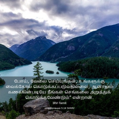 Picture 03 - யாத்திராகமம் 5:18 TAMIRV - போய், வேலை - Bible Verse Picture