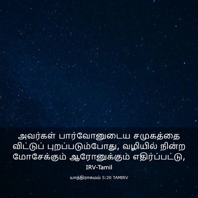 Picture 03 - யாத்திராகமம் 5:20 TAMIRV - அவர்கள் - Bible Verse Picture