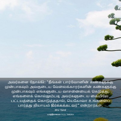 Picture 03 - யாத்திராகமம் 5:21 TAMIRV - அவர்களை நோக்கி: - Bible Verse Picture