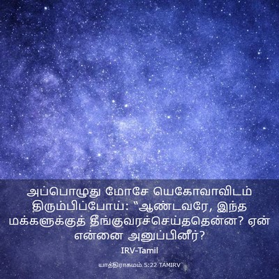 Picture 03 - யாத்திராகமம் 5:22 TAMIRV - அப்பொழுது மோசே - Bible Verse Picture