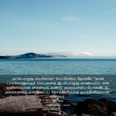 Picture 03 - யாத்திராகமம் 6:1 TAMIRV - அப்பொழுது யெகோவா - Bible Verse Picture
