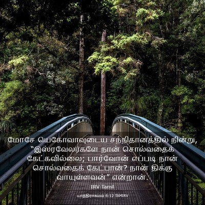 Picture 03 - யாத்திராகமம் 6:12 TAMIRV - மோசே யெகோவாவுடைய - Bible Verse Picture