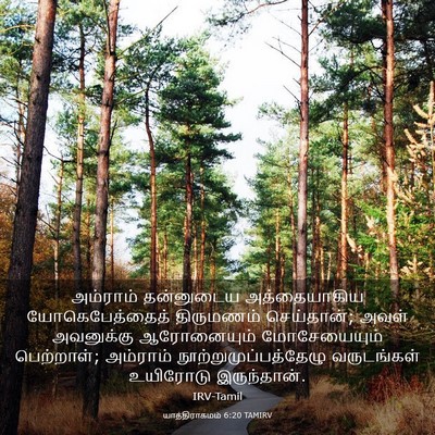 Picture 03 - யாத்திராகமம் 6:20 TAMIRV - அம்ராம் தன்னுடைய - Bible Verse Picture