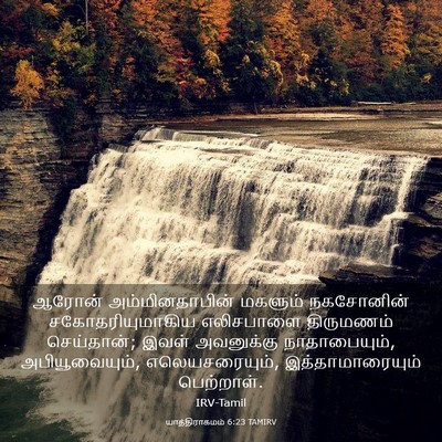 Picture 03 - யாத்திராகமம் 6:23 TAMIRV - ஆரோன் - Bible Verse Picture