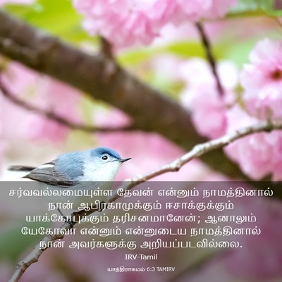 Picture 03 - யாத்திராகமம் 6:3 TAMIRV - சர்வவல்லமையுள்ள - Bible Verse Picture
