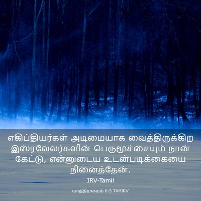 Picture 03 - யாத்திராகமம் 6:5 TAMIRV - எகிப்தியர்கள் - Bible Verse Picture