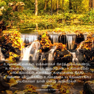 Picture 03 - யாத்திராகமம் 6:7 TAMIRV - உங்களை எனக்கு - Bible Verse Picture