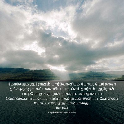Picture 03 - யாத்திராகமம் 7:10 TAMIRV - மோசேயும் ஆரோனும் - Bible Verse Picture