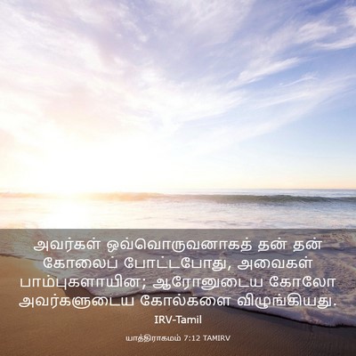 Picture 03 - யாத்திராகமம் 7:12 TAMIRV - அவர்கள் - Bible Verse Picture
