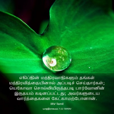 Picture 03 - யாத்திராகமம் 7:22 TAMIRV - எகிப்தின் - Bible Verse Picture