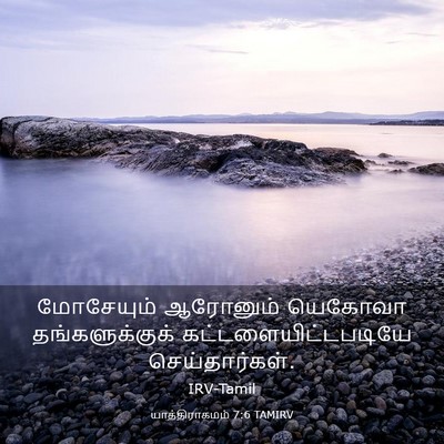 Picture 03 - யாத்திராகமம் 7:6 TAMIRV - மோசேயும் ஆரோனும் - Bible Verse Picture