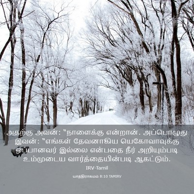 Picture 03 - யாத்திராகமம் 8:10 TAMIRV - அதற்கு அவன்: - Bible Verse Picture