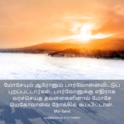 Picture 03 - யாத்திராகமம் 8:12 TAMIRV - மோசேயும் ஆரோனும் - Bible Verse Picture