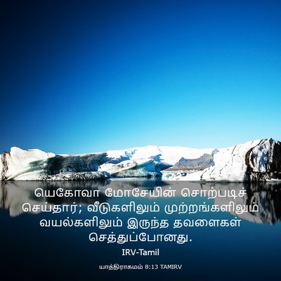 Picture 03 - யாத்திராகமம் 8:13 TAMIRV - யெகோவா மோசேயின் - Bible Verse Picture