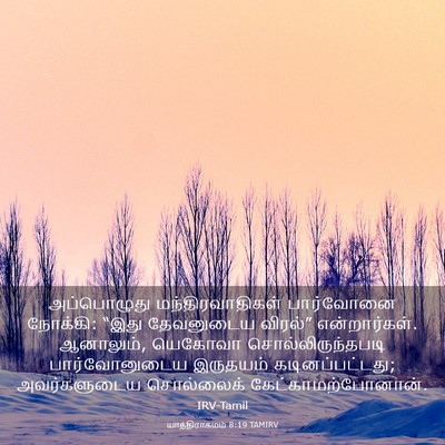 Picture 03 - யாத்திராகமம் 8:19 TAMIRV - அப்பொழுது - Bible Verse Picture