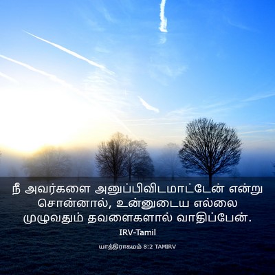 Picture 03 - யாத்திராகமம் 8:2 TAMIRV - நீ அவர்களை - Bible Verse Picture