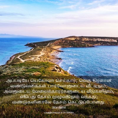 Picture 03 - யாத்திராகமம் 8:24 TAMIRV - அப்படியே யெகோவா - Bible Verse Picture