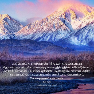 Picture 03 - யாத்திராகமம் 8:28 TAMIRV - அப்பொழுது - Bible Verse Picture