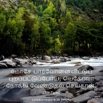 Picture 03 - யாத்திராகமம் 8:30 TAMIRV - மோசே - Bible Verse Picture