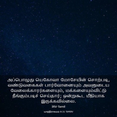 Picture 03 - யாத்திராகமம் 8:31 TAMIRV - அப்பொழுது யெகோவா - Bible Verse Picture