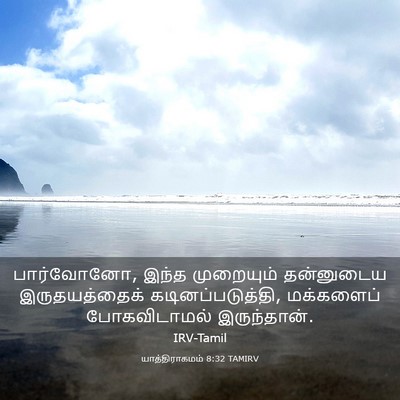 Picture 03 - யாத்திராகமம் 8:32 TAMIRV - பார்வோனோ, இந்த - Bible Verse Picture