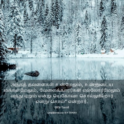 Picture 03 - யாத்திராகமம் 8:4 TAMIRV - அந்தத் தவளைகள் - Bible Verse Picture
