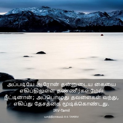 Picture 03 - யாத்திராகமம் 8:6 TAMIRV - அப்படியே ஆரோன் - Bible Verse Picture