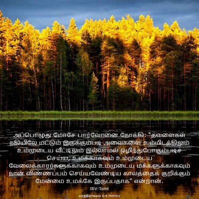 Picture 03 - யாத்திராகமம் 8:9 TAMIRV - அப்பொழுது மோசே - Bible Verse Picture