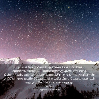 Picture 03 - யாத்திராகமம் 9:10 TAMIRV - அப்படியே அவர்கள் - Bible Verse Picture