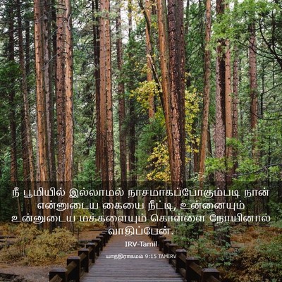Picture 03 - யாத்திராகமம் 9:15 TAMIRV - நீ பூமியில் - Bible Verse Picture