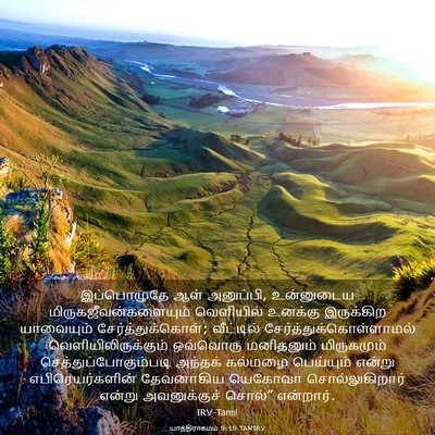 Picture 03 - யாத்திராகமம் 9:19 TAMIRV - இப்பொழுதே ஆள் - Bible Verse Picture