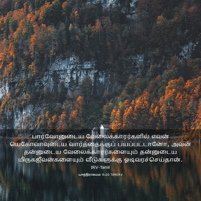 Picture 03 - யாத்திராகமம் 9:20 TAMIRV - பார்வோனுடைய - Bible Verse Picture