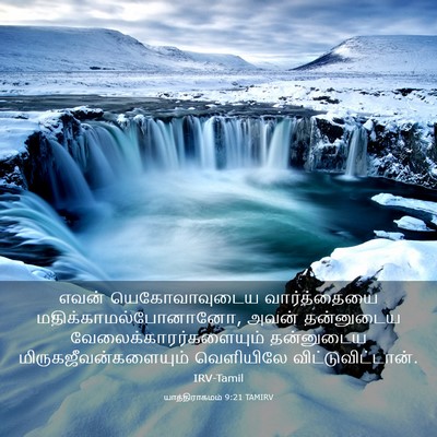 Picture 03 - யாத்திராகமம் 9:21 TAMIRV - எவன் யெகோவாவுடைய - Bible Verse Picture