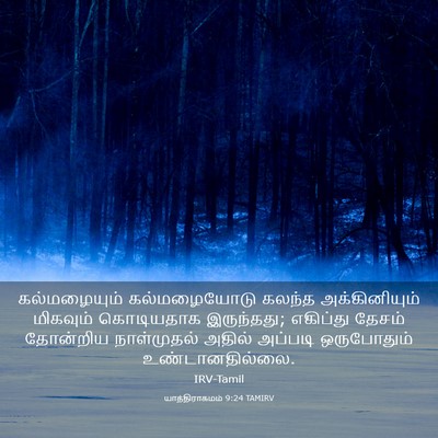 Picture 03 - யாத்திராகமம் 9:24 TAMIRV - கல்மழையும் - Bible Verse Picture