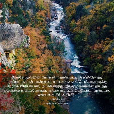 Picture 03 - யாத்திராகமம் 9:29 TAMIRV - மோசே அவனை நோக்கி: - Bible Verse Picture
