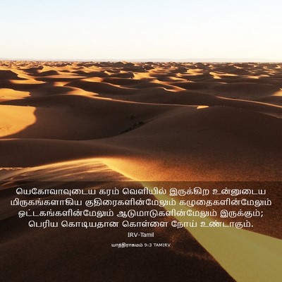 Picture 03 - யாத்திராகமம் 9:3 TAMIRV - யெகோவாவுடைய கரம் - Bible Verse Picture