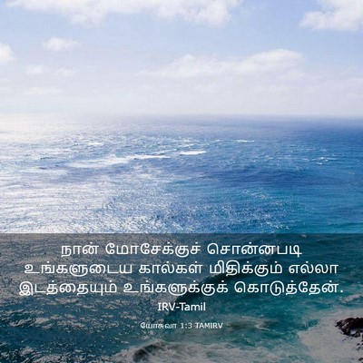 Picture 03 - யோசுவா 1:3 TAMIRV - நான் மோசேக்குச் - Bible Verse Picture