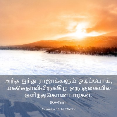 Picture 03 - யோசுவா 10:16 TAMIRV - அந்த ஐந்து - Bible Verse Picture