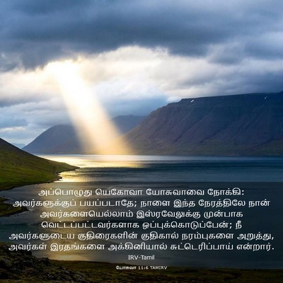 Picture 03 - யோசுவா 11:6 TAMIRV - அப்பொழுது யெகோவா - Bible Verse Picture