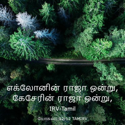Picture 03 - யோசுவா 12:12 TAMIRV - எக்லோனின் ராஜா - Bible Verse Picture