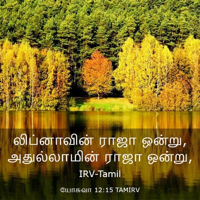Picture 03 - யோசுவா 12:15 TAMIRV - லிப்னாவின் ராஜா - Bible Verse Picture