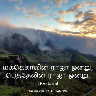 Picture 03 - யோசுவா 12:16 TAMIRV - மக்கெதாவின் ராஜா - Bible Verse Picture