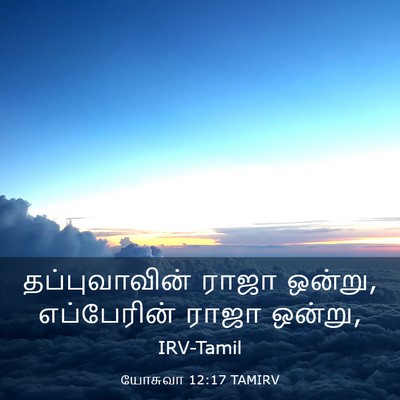 Picture 03 - யோசுவா 12:17 TAMIRV - தப்புவாவின் ராஜா - Bible Verse Picture