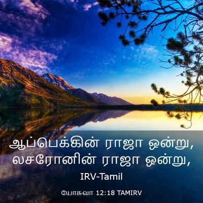 Picture 03 - யோசுவா 12:18 TAMIRV - ஆப்பெக்கின் ராஜா - Bible Verse Picture