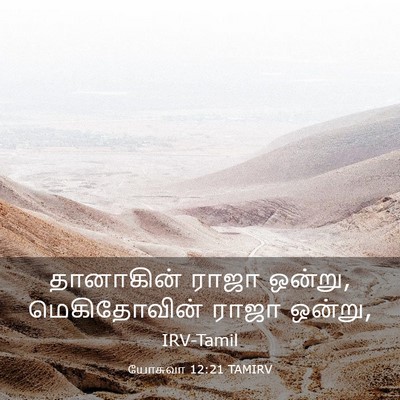 Picture 03 - யோசுவா 12:21 TAMIRV - தானாகின் ராஜா - Bible Verse Picture