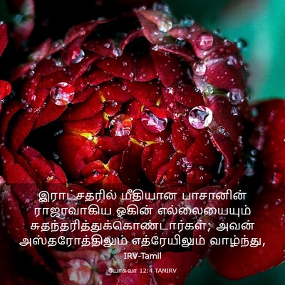 Picture 03 - யோசுவா 12:4 TAMIRV - இராட்சதரில் - Bible Verse Picture