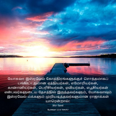 Picture 03 - யோசுவா 12:8 TAMIRV - யோசுவா இஸ்ரவேல் - Bible Verse Picture