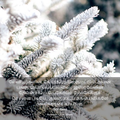 Picture 03 - யோசுவா 13:14 TAMIRV - லேவியர்களின் - Bible Verse Picture