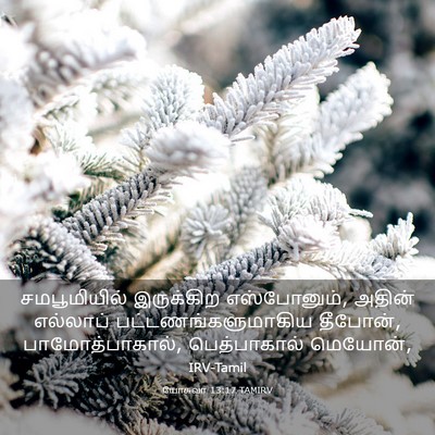 Picture 03 - யோசுவா 13:17 TAMIRV - சமபூமியில் - Bible Verse Picture