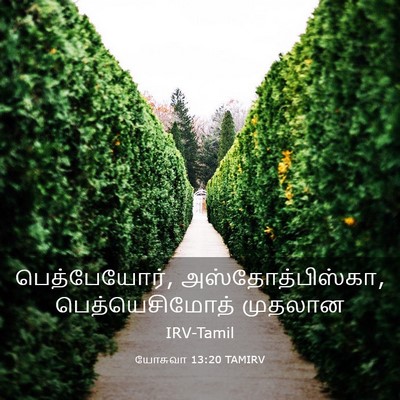 Picture 03 - யோசுவா 13:20 TAMIRV - பெத்பேயோர், - Bible Verse Picture